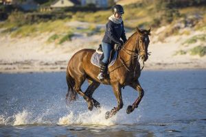 Startseite 6 reiten 071b25bf T.u.S. Bargstedt Bargstedt